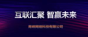 “互聯(lián)聚匯，智贏未來” 2019焦作青峰全網(wǎng)合作峰會圓滿成功！